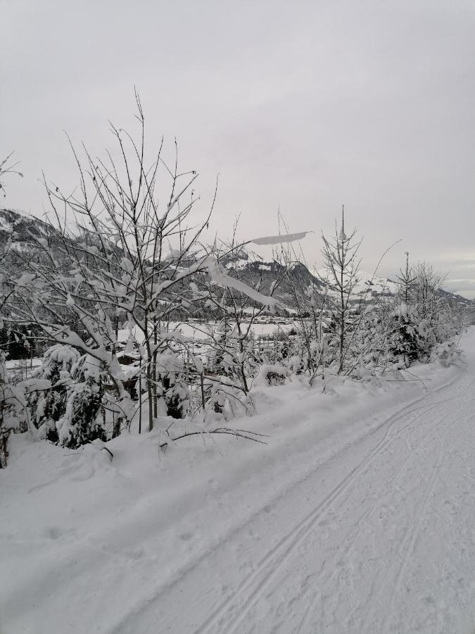 Ferienwohnungen Vordergriess Hochfilzen Exterior photo